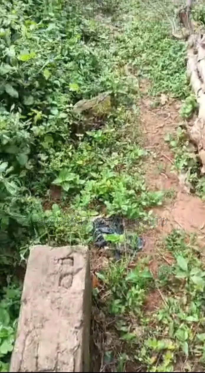 A Full Plot of Land for Sale in Ibadan
