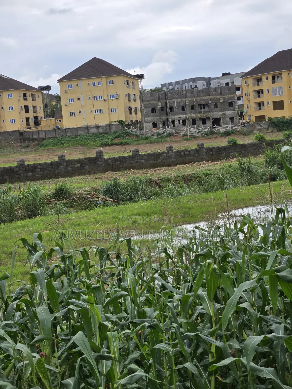 O God, Unbelievably True 1.63 Hectares Land Inside Town GUDU MKT 1.75b in Gudu