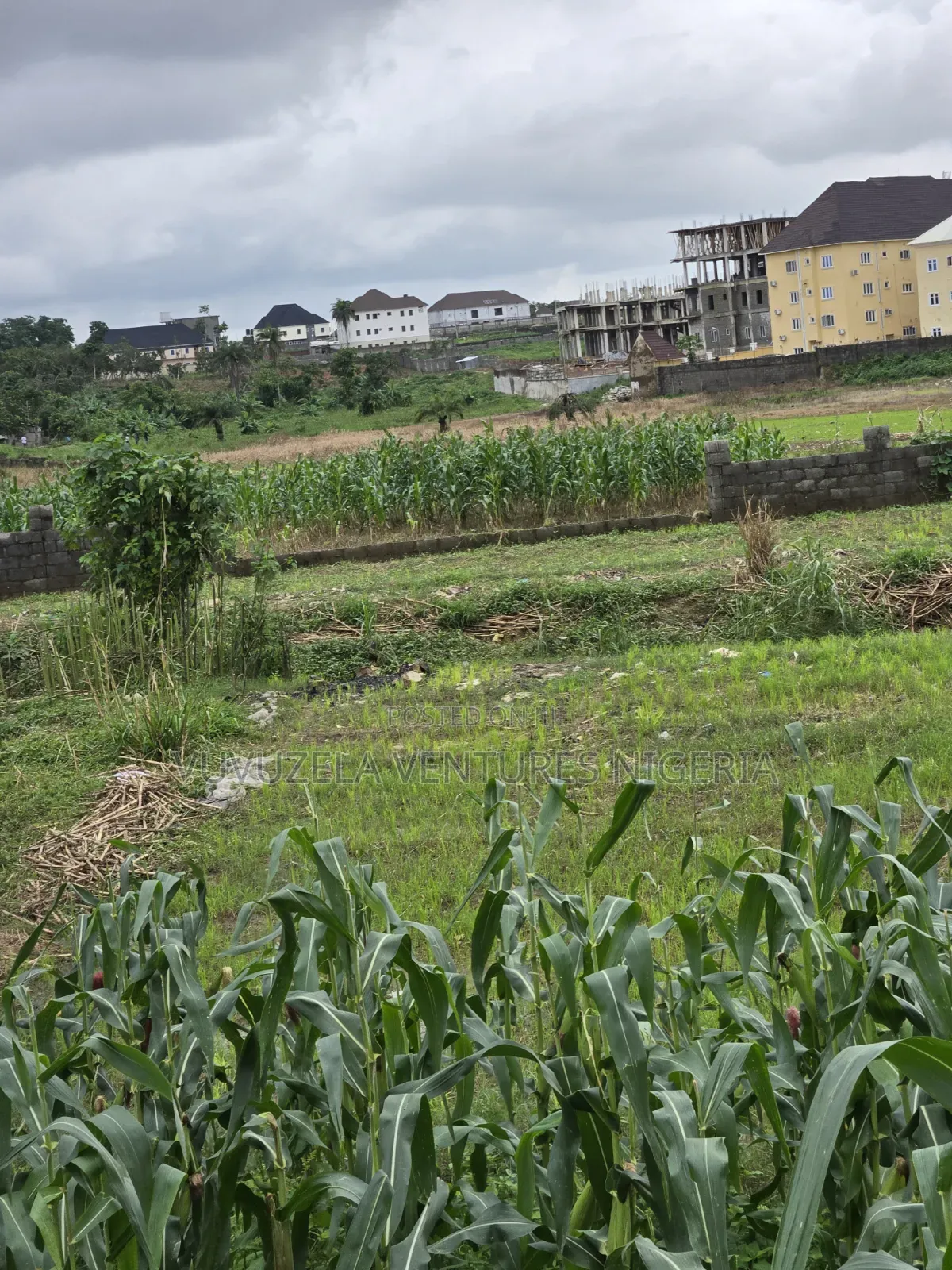 O God, Unbelievably True 1.63 Hectares Land Inside Town GUDU MKT 1.75b in Gudu