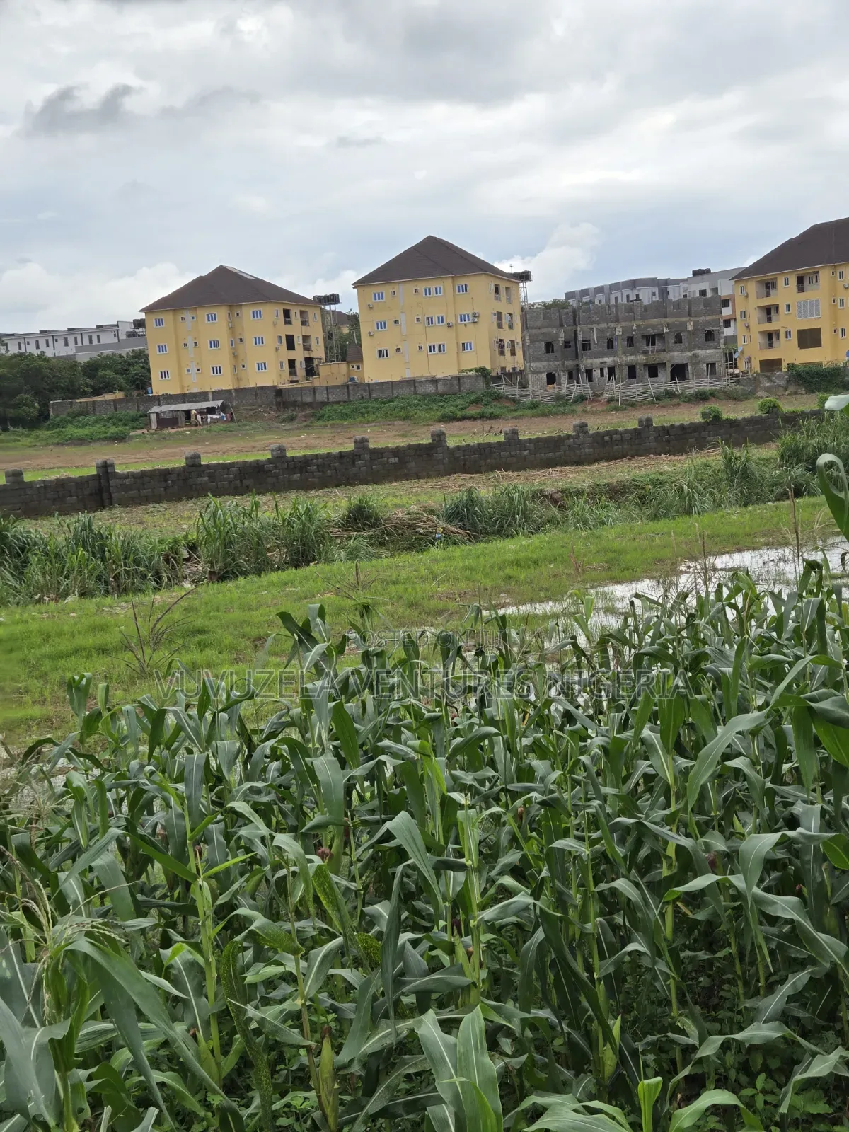O God, Unbelievably True 1.63 Hectares Land Inside Town GUDU MKT 1.75b in Gudu