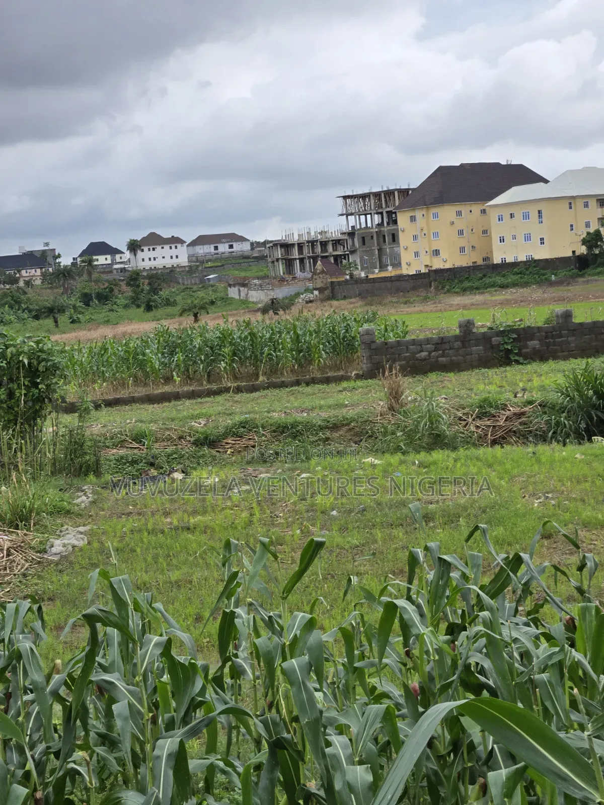 O God, Unbelievably True 1.63 Hectares Land Inside Town GUDU MKT 1.75b in Gudu