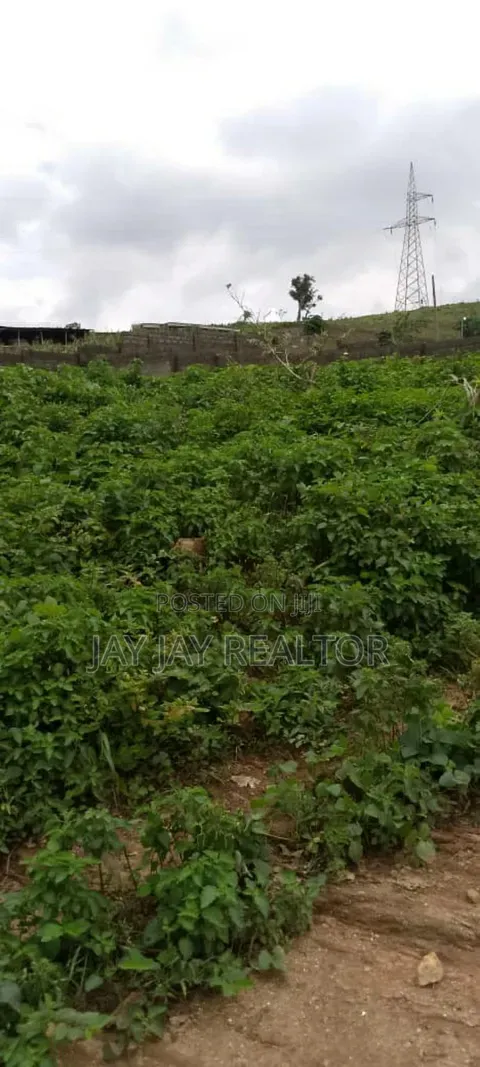 Land for Sale in Karu