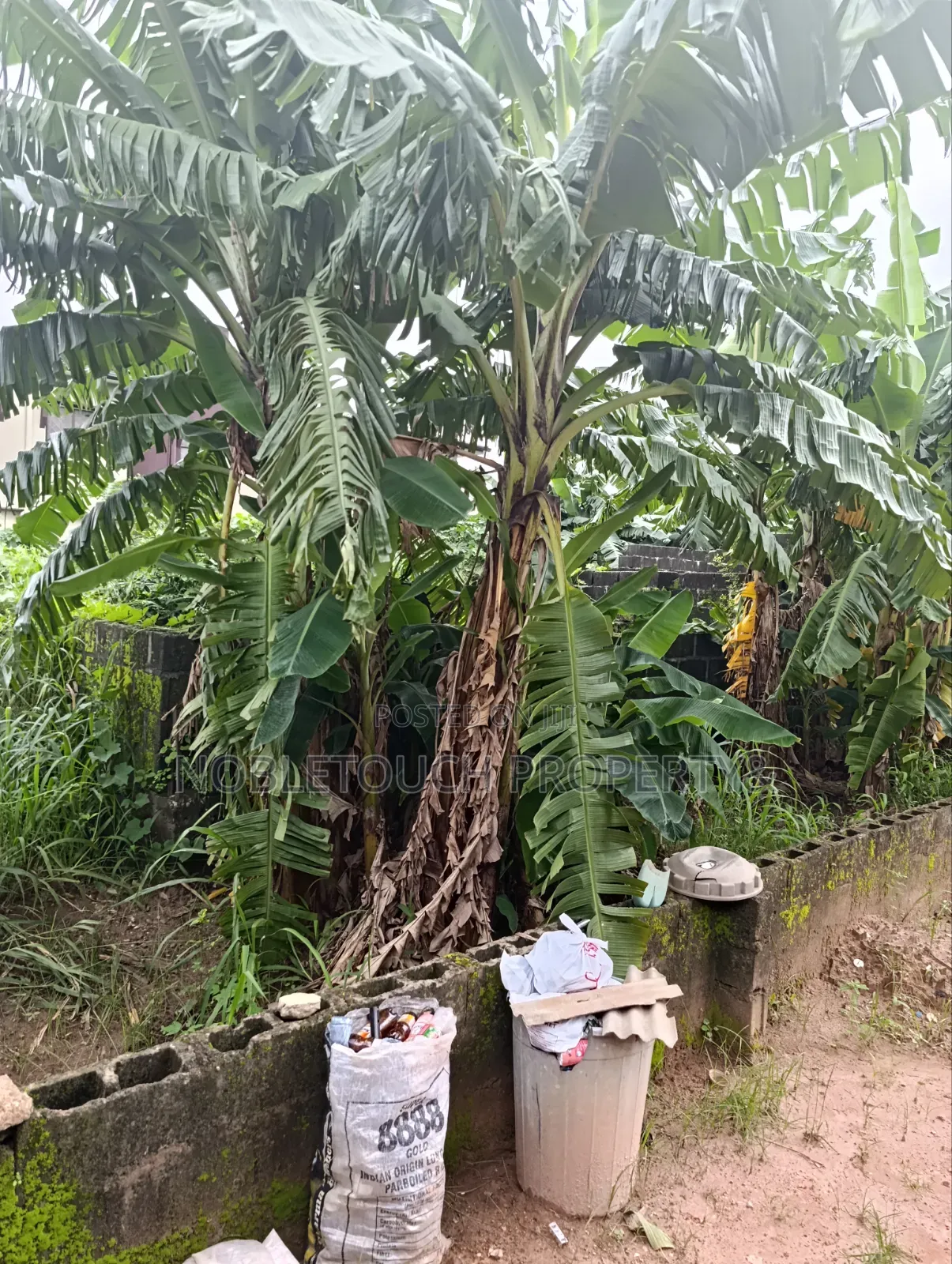 30plots Farm Land in Benin City Edo in Iseri Olofin