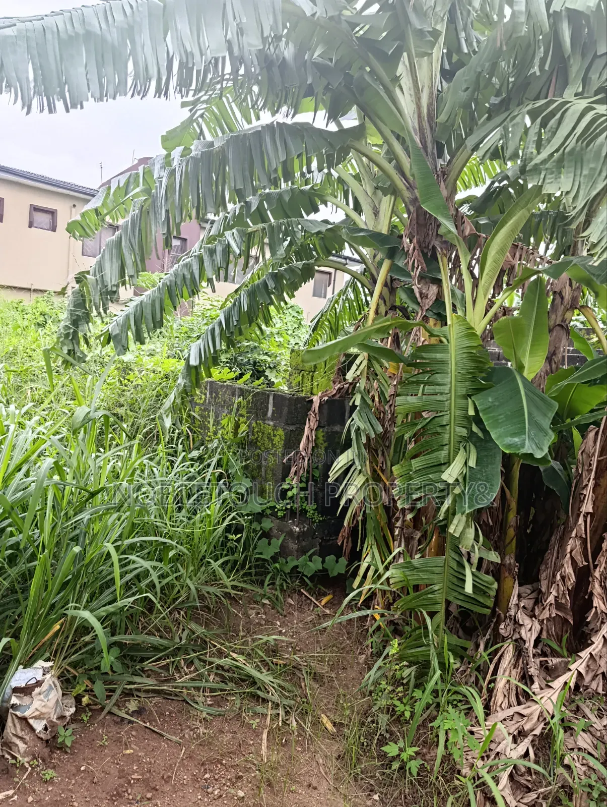30plots Farm Land in Benin City Edo in Iseri Olofin
