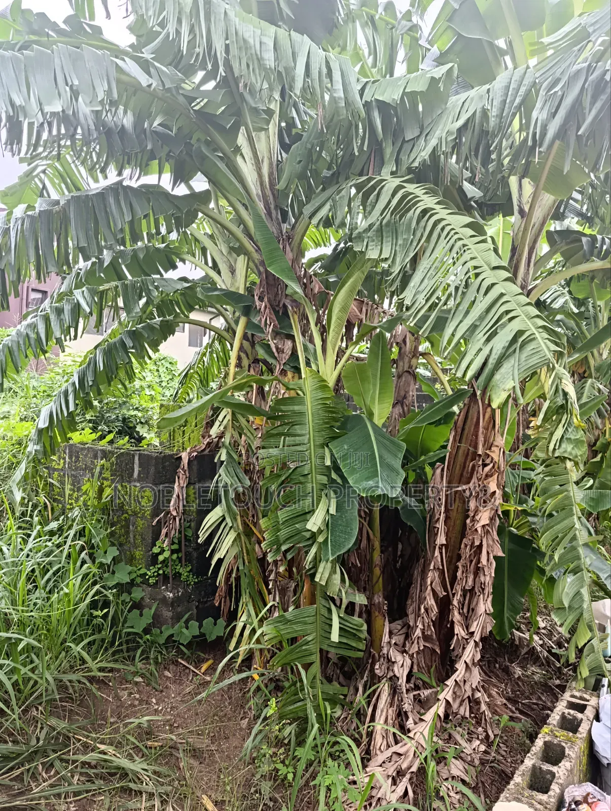 30plots Farm Land in Benin City Edo in Iseri Olofin