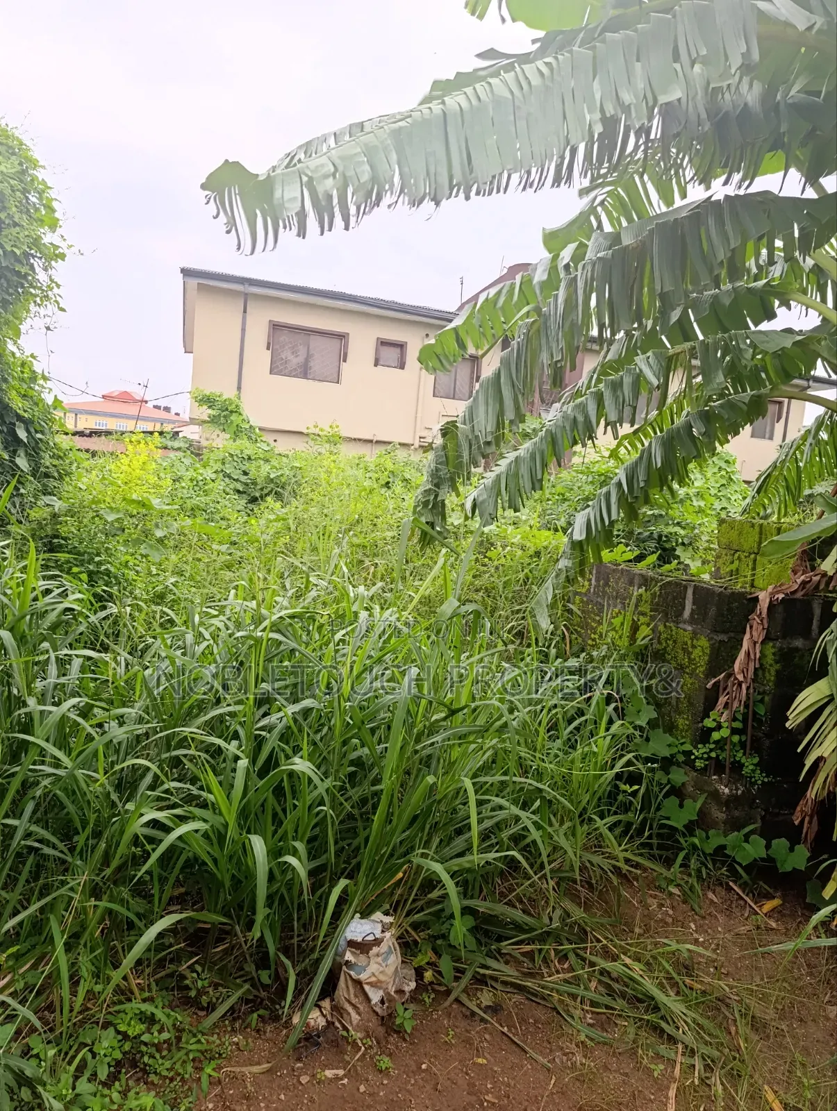 30plots Farm Land in Benin City Edo in Iseri Olofin