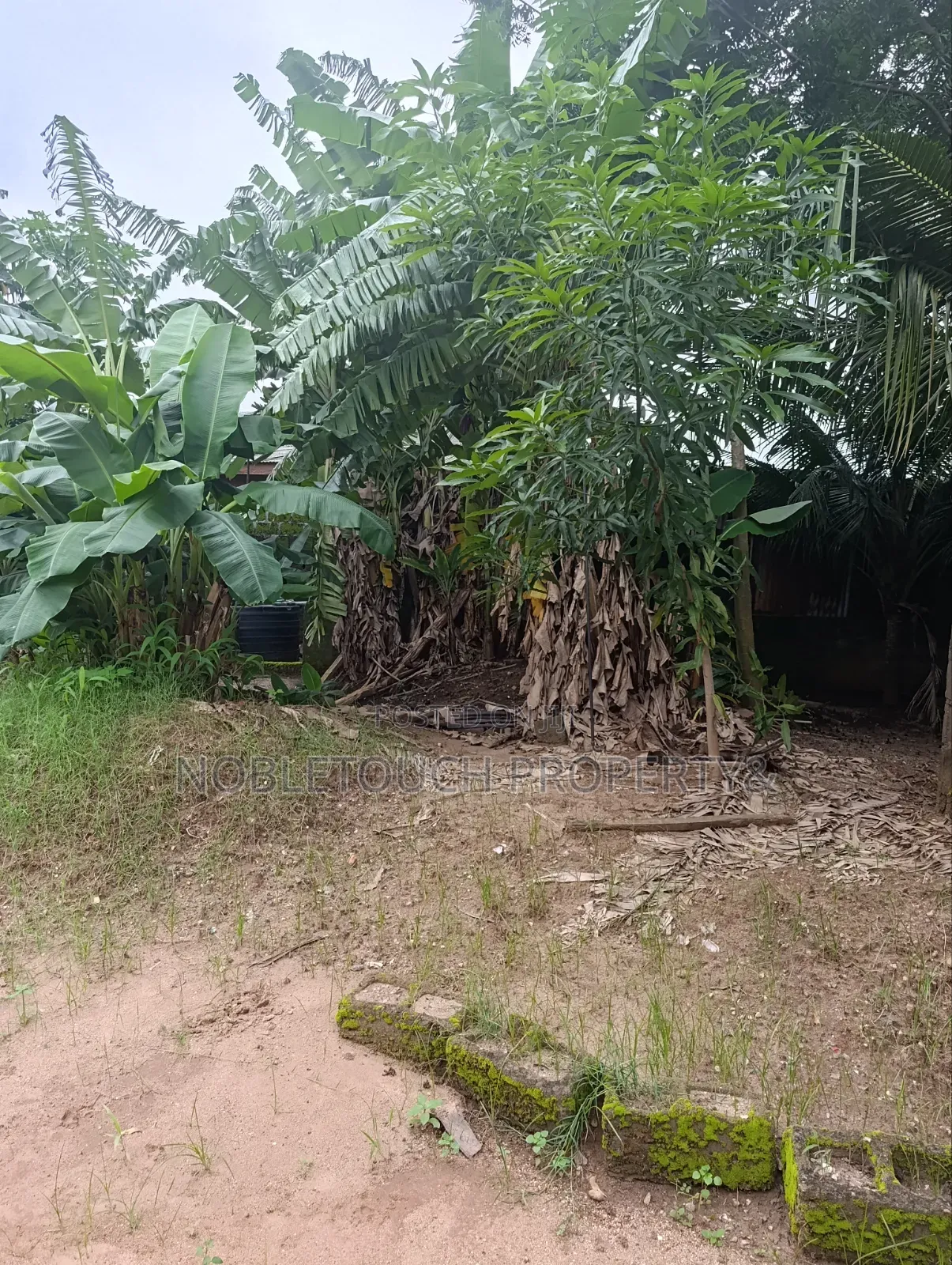 30plots Farm Land in Benin City Edo in Iseri Olofin