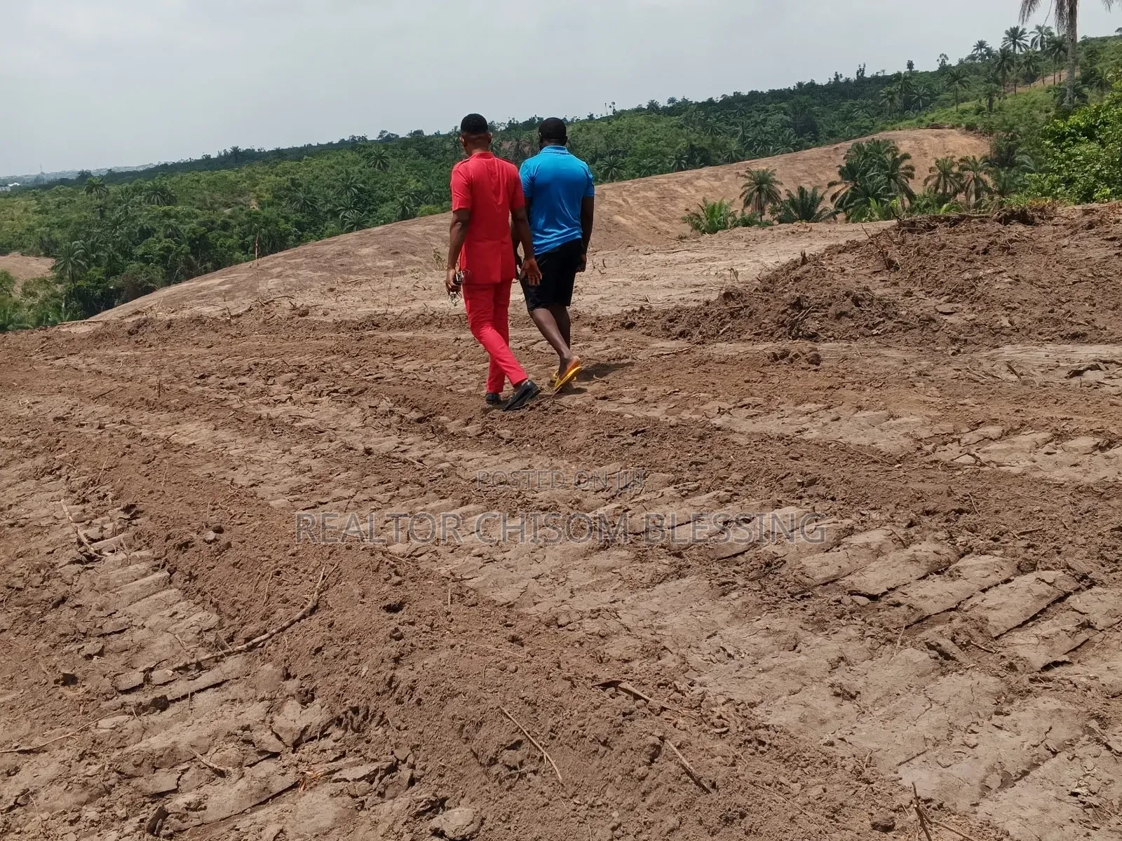 Oakwood City Estate Nsukwe Old Umuahia in Umuahia