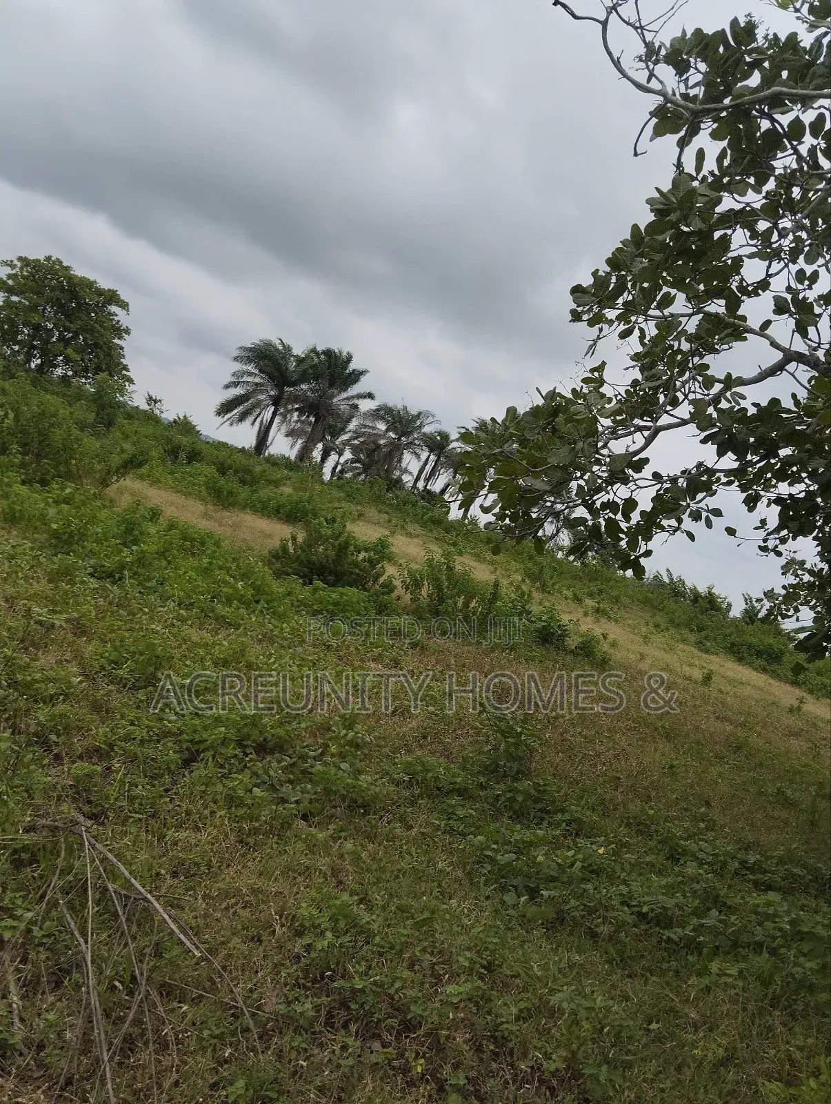65 Acres of Farmland at Alofe Village Off Iseyin-Ogbomoso, Oyo State in Iseyin