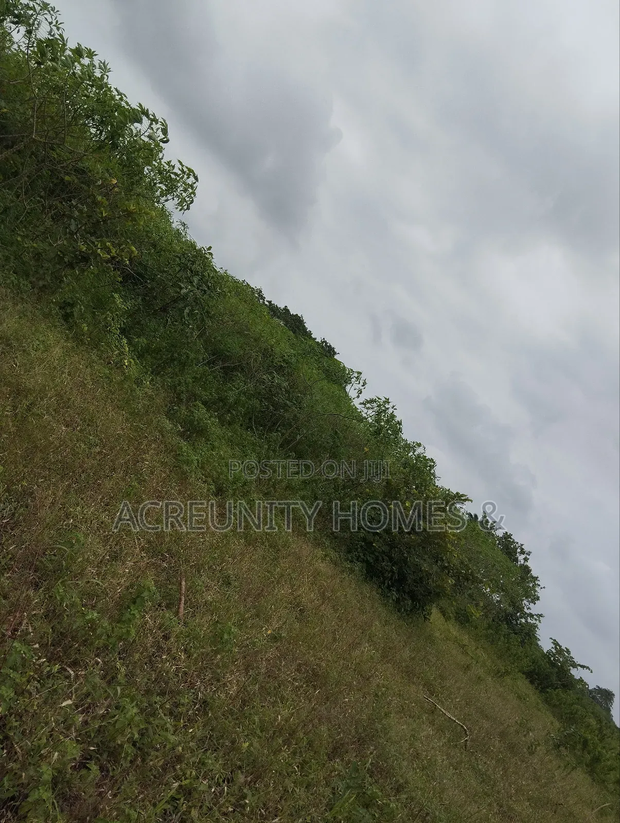 65 Acres of Farmland at Alofe Village Off Iseyin-Ogbomoso, Oyo State in Iseyin