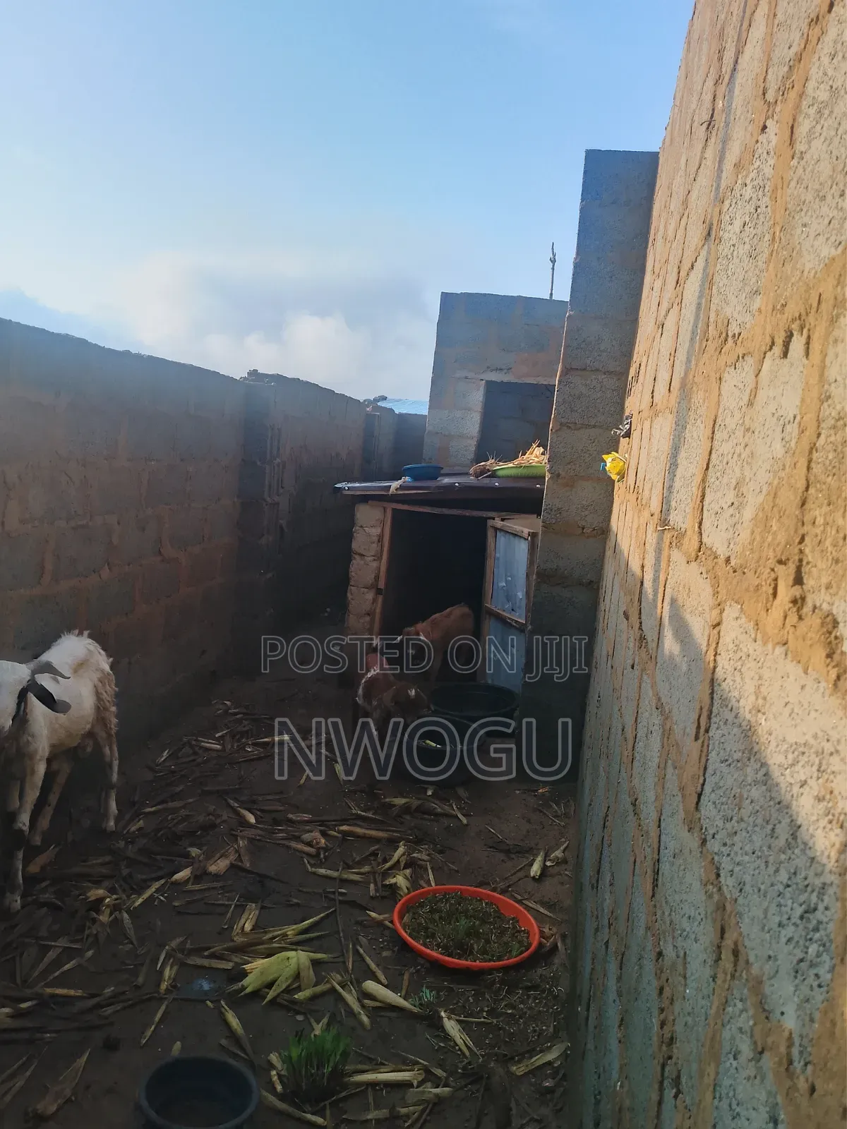 3bdrm Bungalow in Burum for sale in Burum