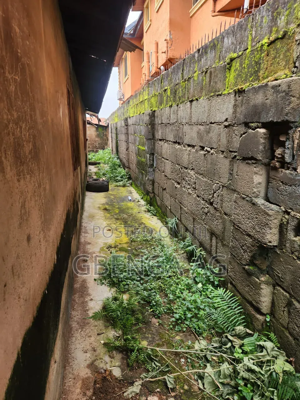 Half Plot of Land With Old Structure for Sale at Iju ISHAGA Lagos in Iju-Ishaga