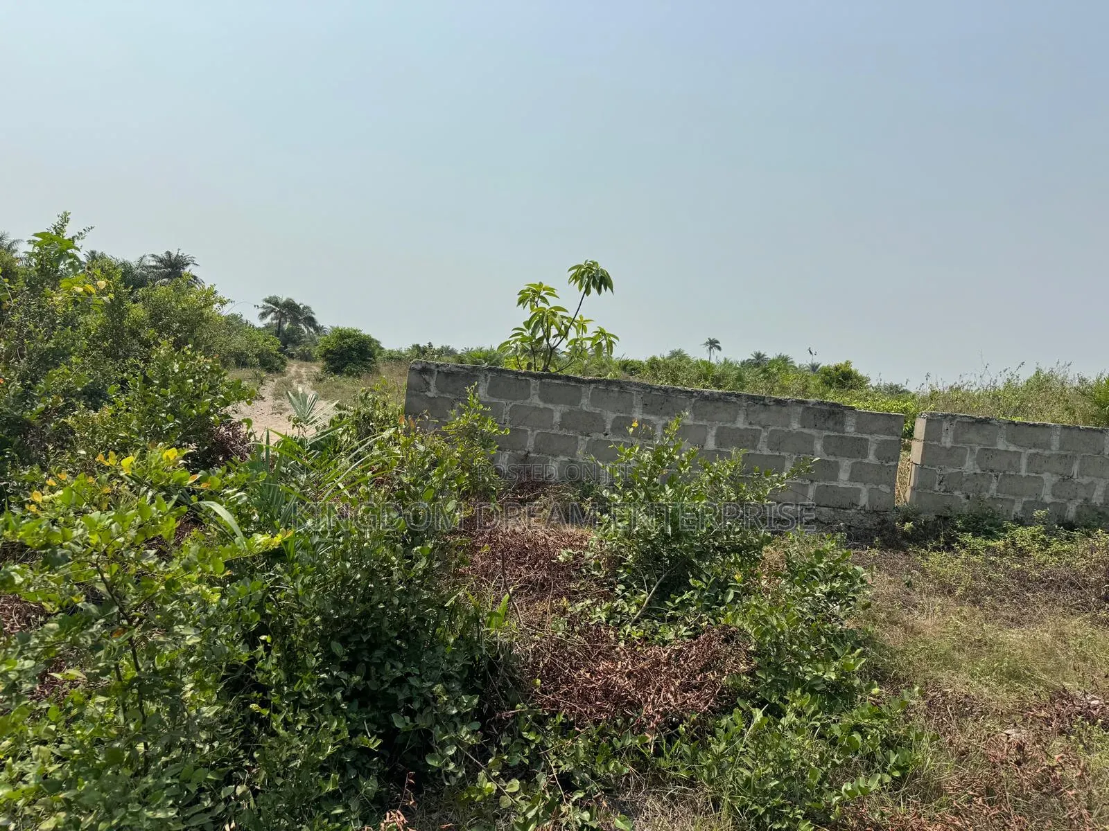 4,000SQM Residential Land Banana Island Ikoyi Lagos 4M Per SM in Banana Island
