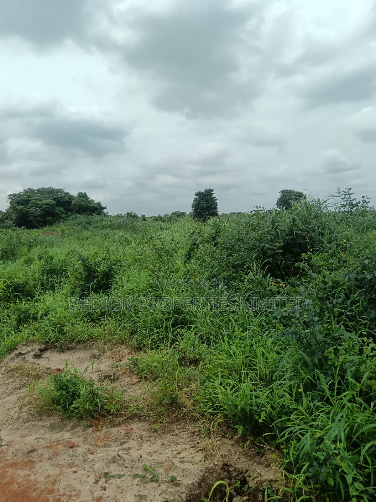 Ojodu Berger Land With Gazette, Supreme Court Judgment and Survey in Berger