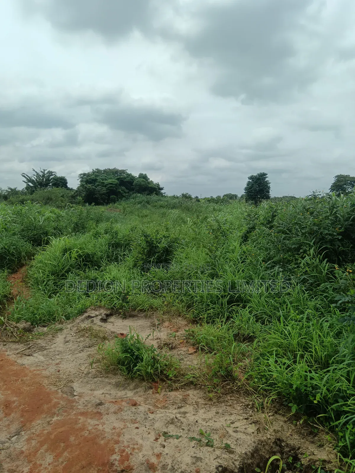 Ojodu Berger Land With Gazette, Supreme Court Judgment and Survey in Berger