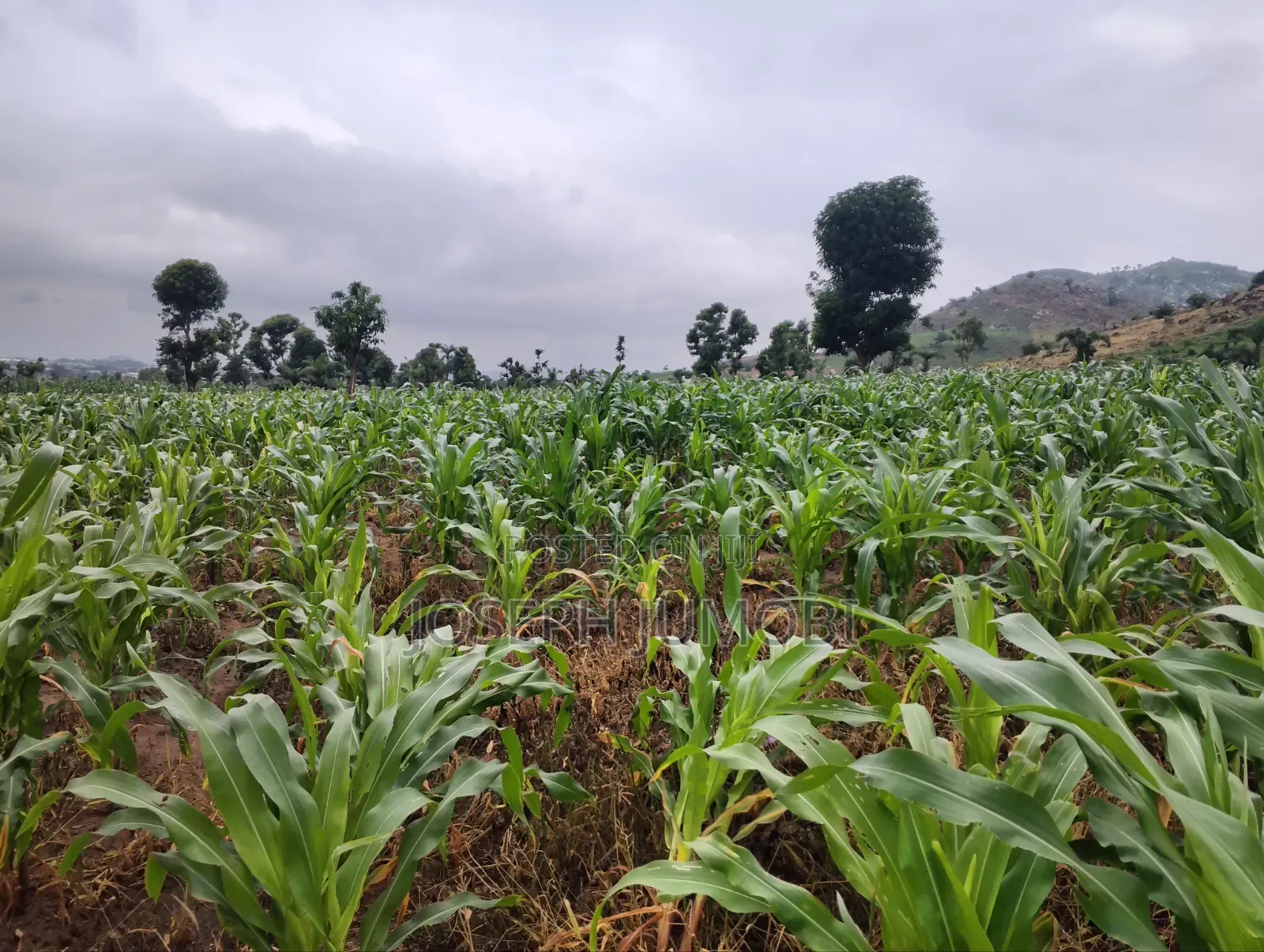 Commercial Plot in Kuje