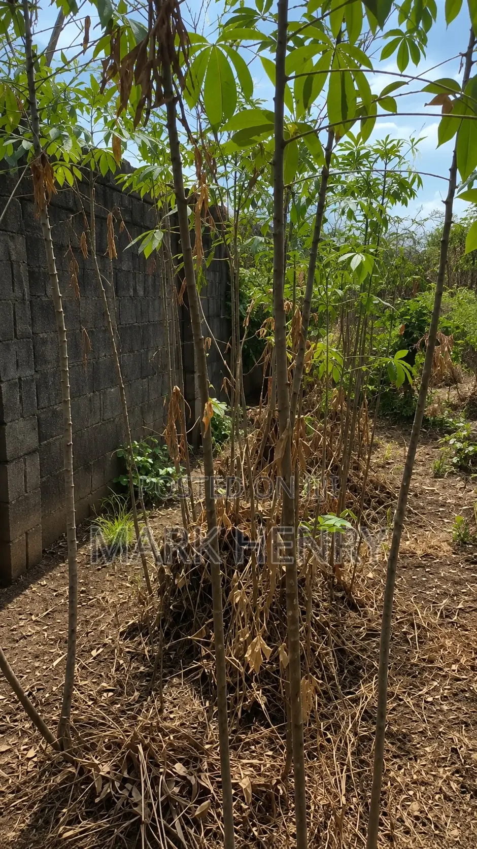 Plot of Land for Sale in Enugu State