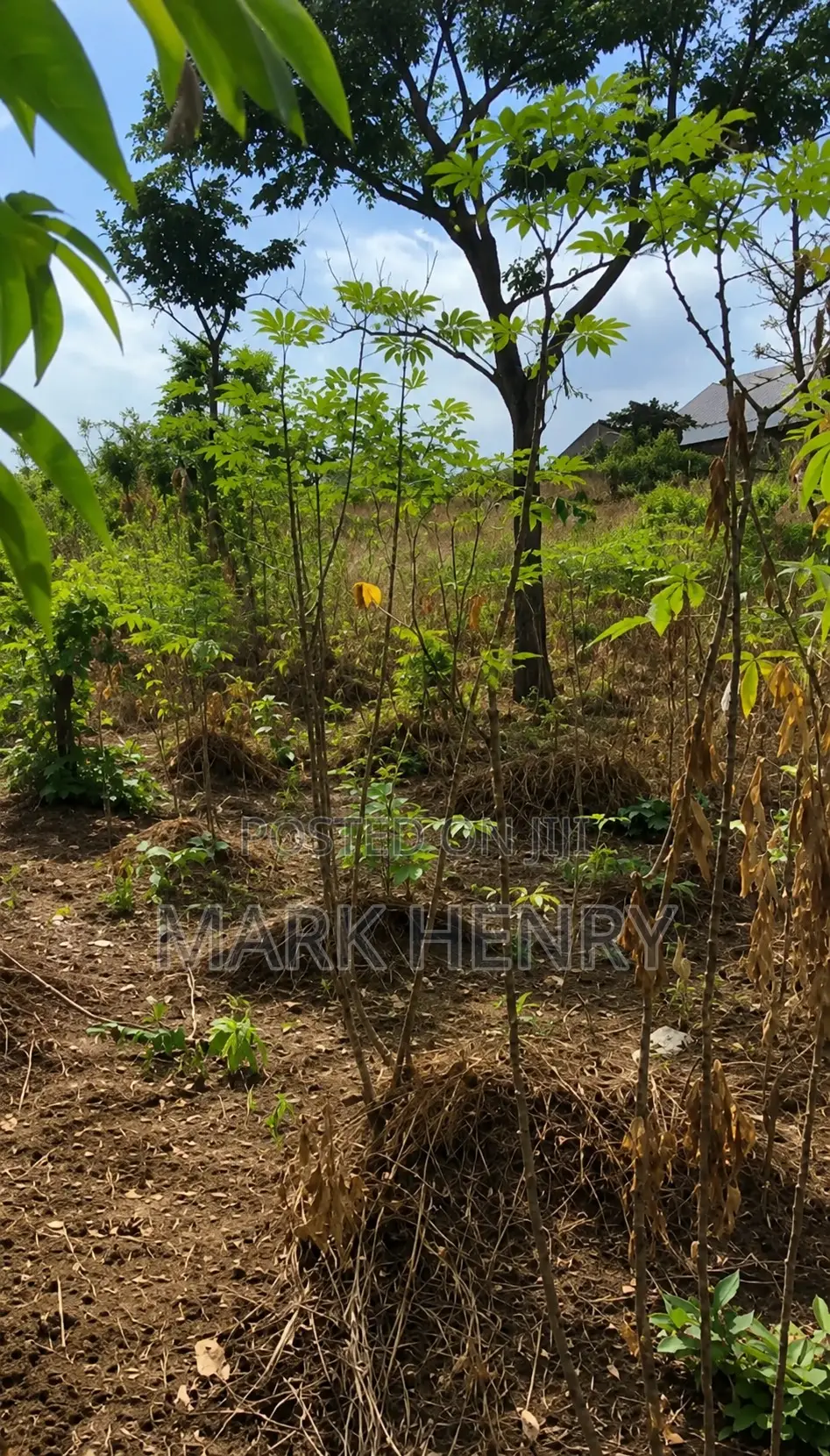 Plot of Land for Sale in Enugu State