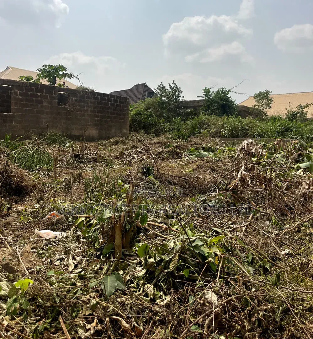 Plot of Land at Wisdom Estate in Akobo