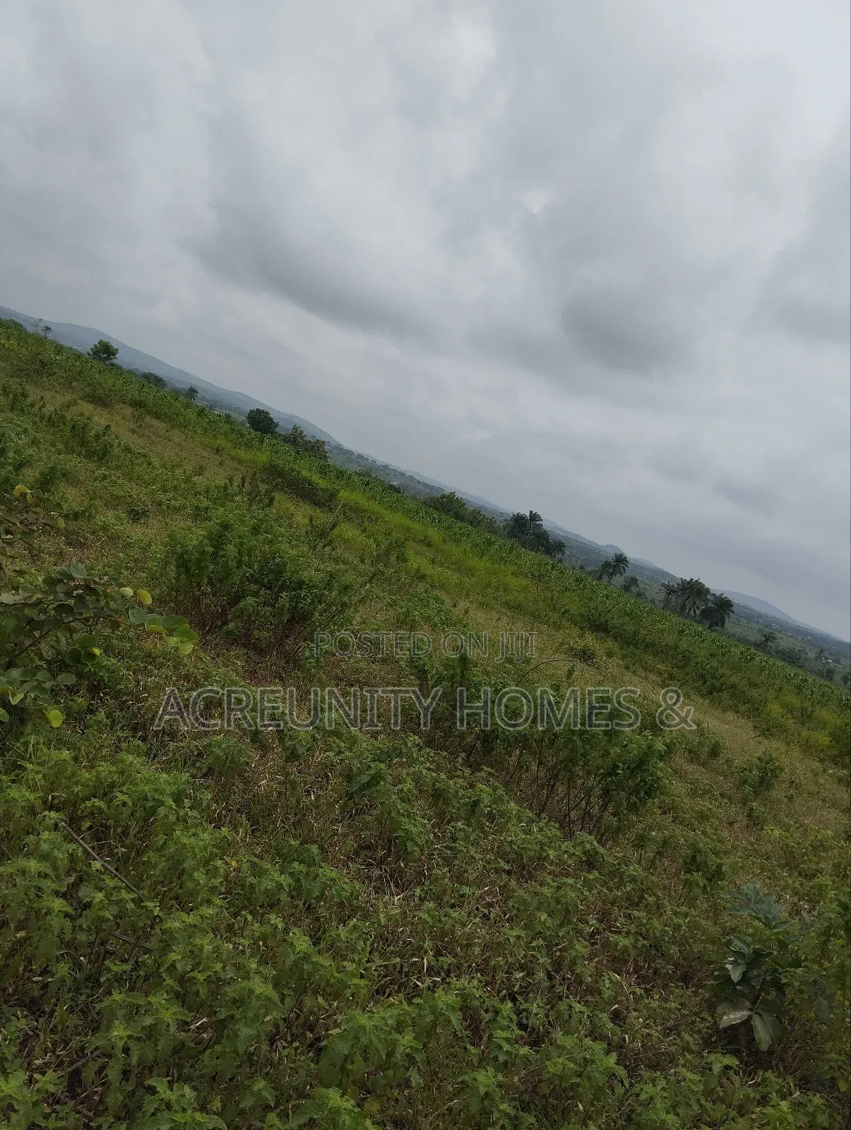 550 Acres of Fertile Farmland for Sale, Iganna, Iwajowa Lga, Oyo State in Iwajowa