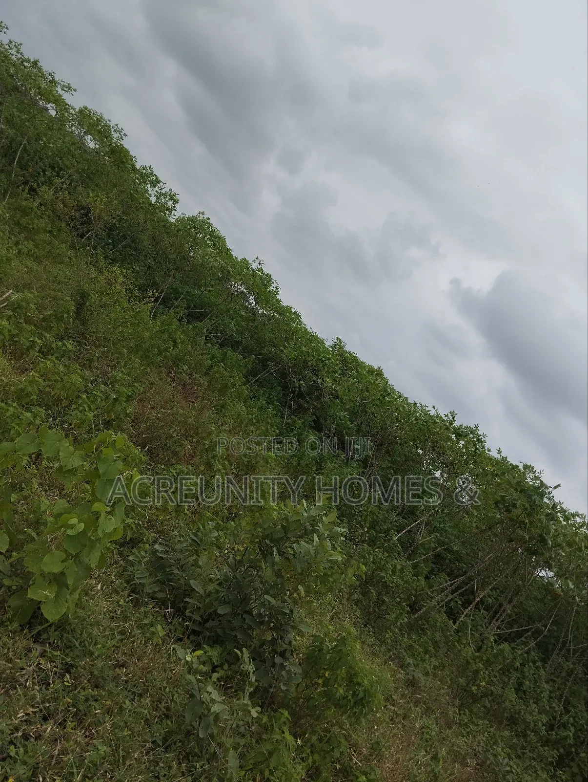 550 Acres of Fertile Farmland for Sale, Iganna, Iwajowa Lga, Oyo State in Iwajowa