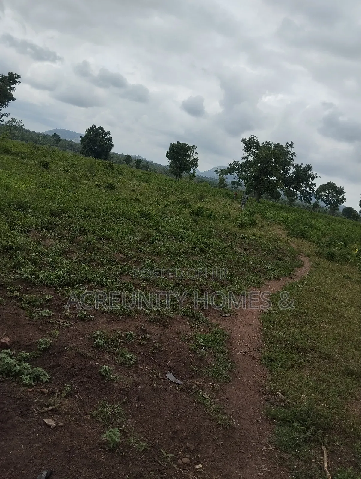 300 Acres of Farmland for Sale at Aba Ibadan Village, Iseyin Oyo State in Iseyin
