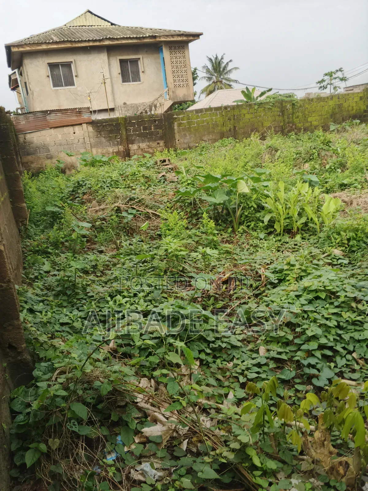 Residential Land for Sale in Ayobo in Ayobo