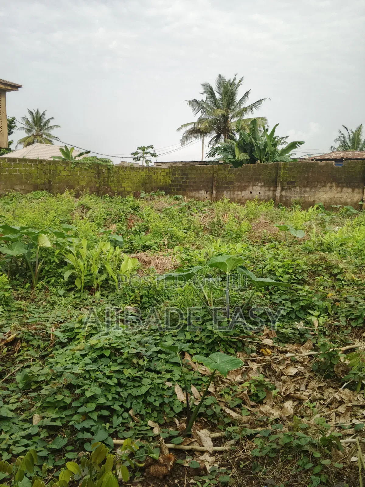 Residential Land for Sale in Ayobo in Ayobo