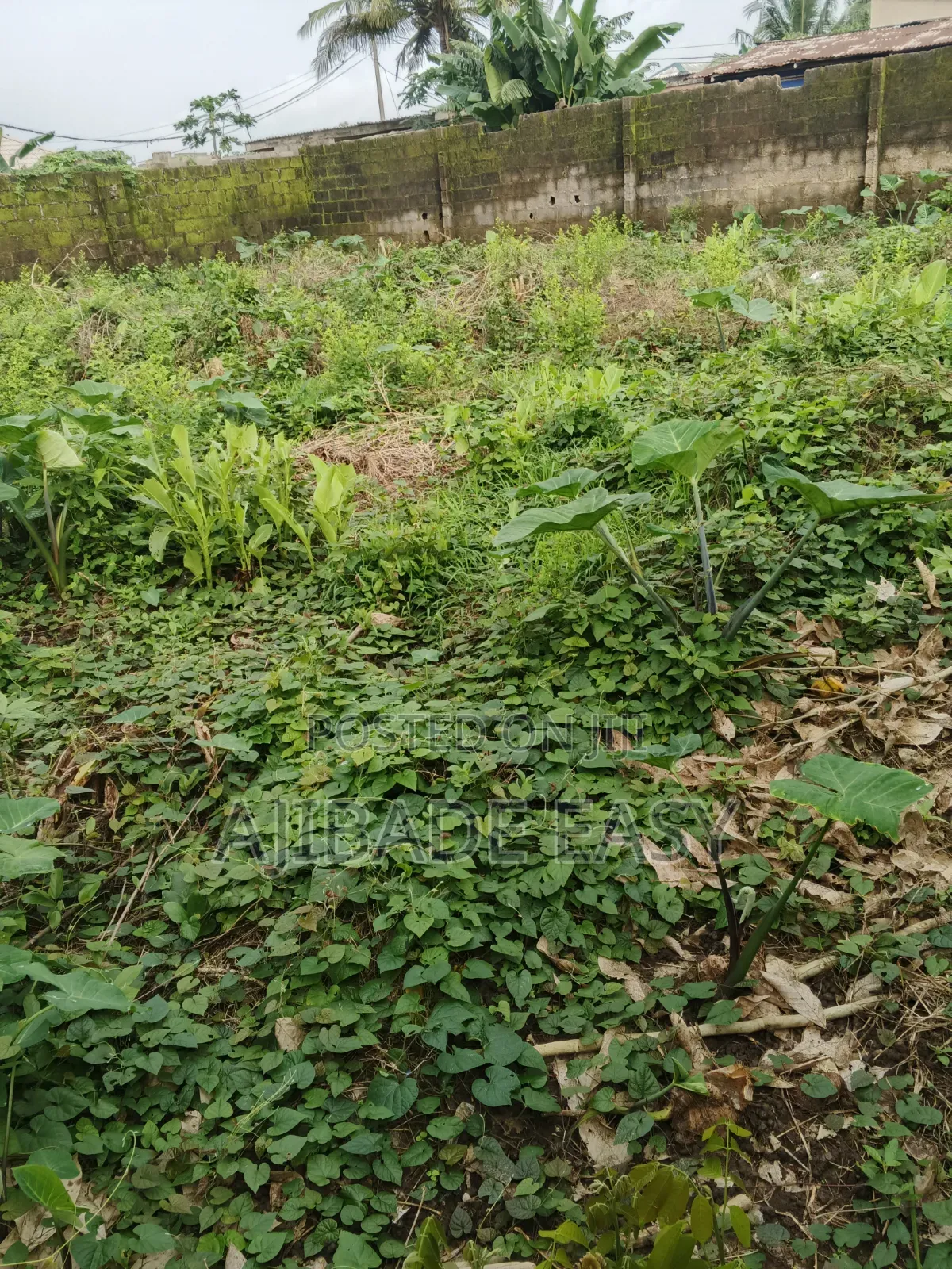 Residential Land for Sale in Ayobo in Ayobo
