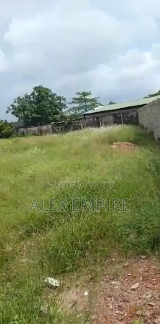 Land for Sale in Amuwo Odofin, Festac in Festac