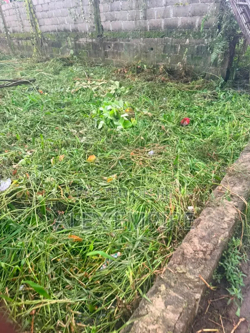 Plot of Land for Sale in Abule Ado in Abule Ado