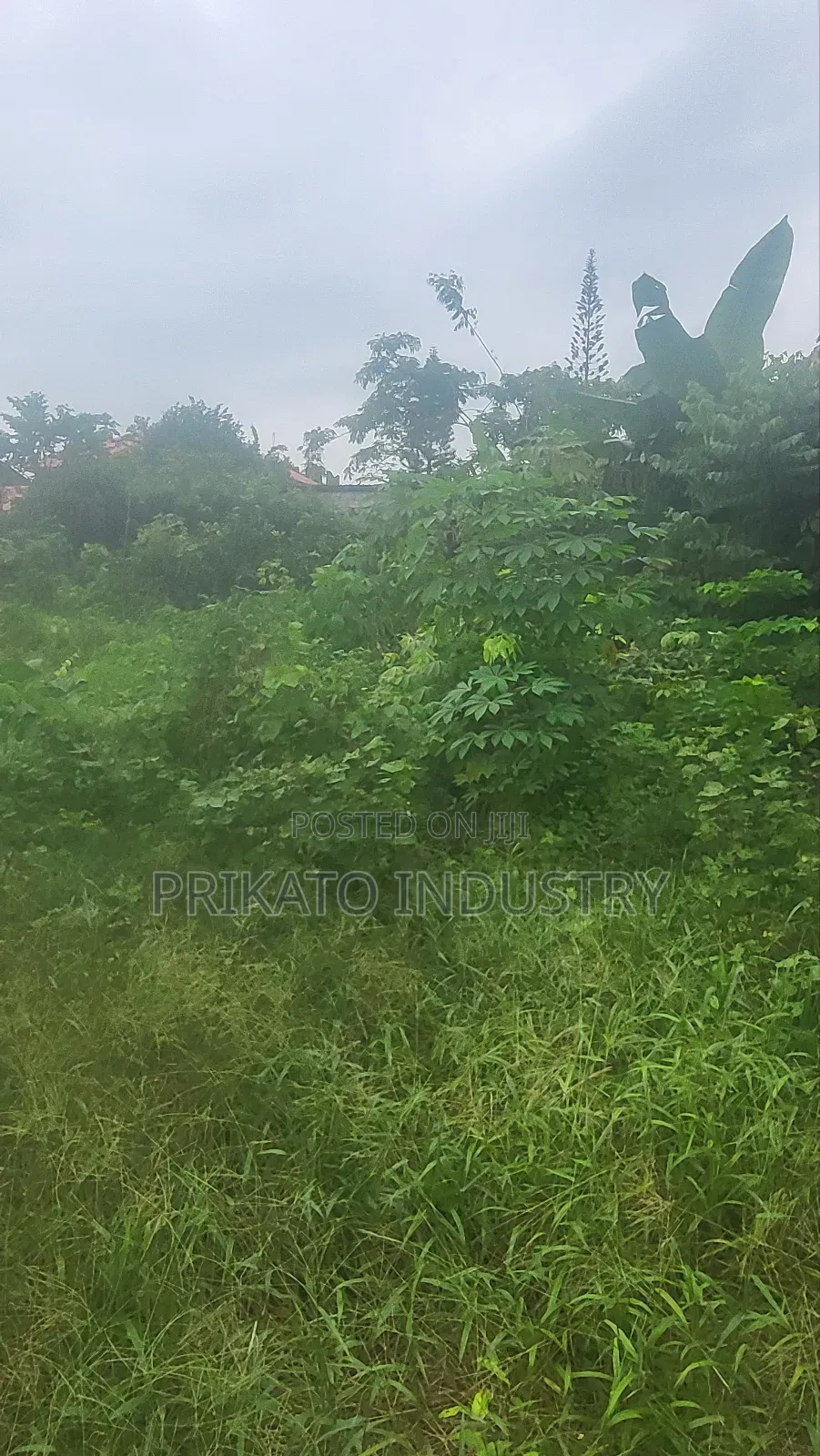 Full Plot of Land Gated in Eputu With Governors Consent in Ajah