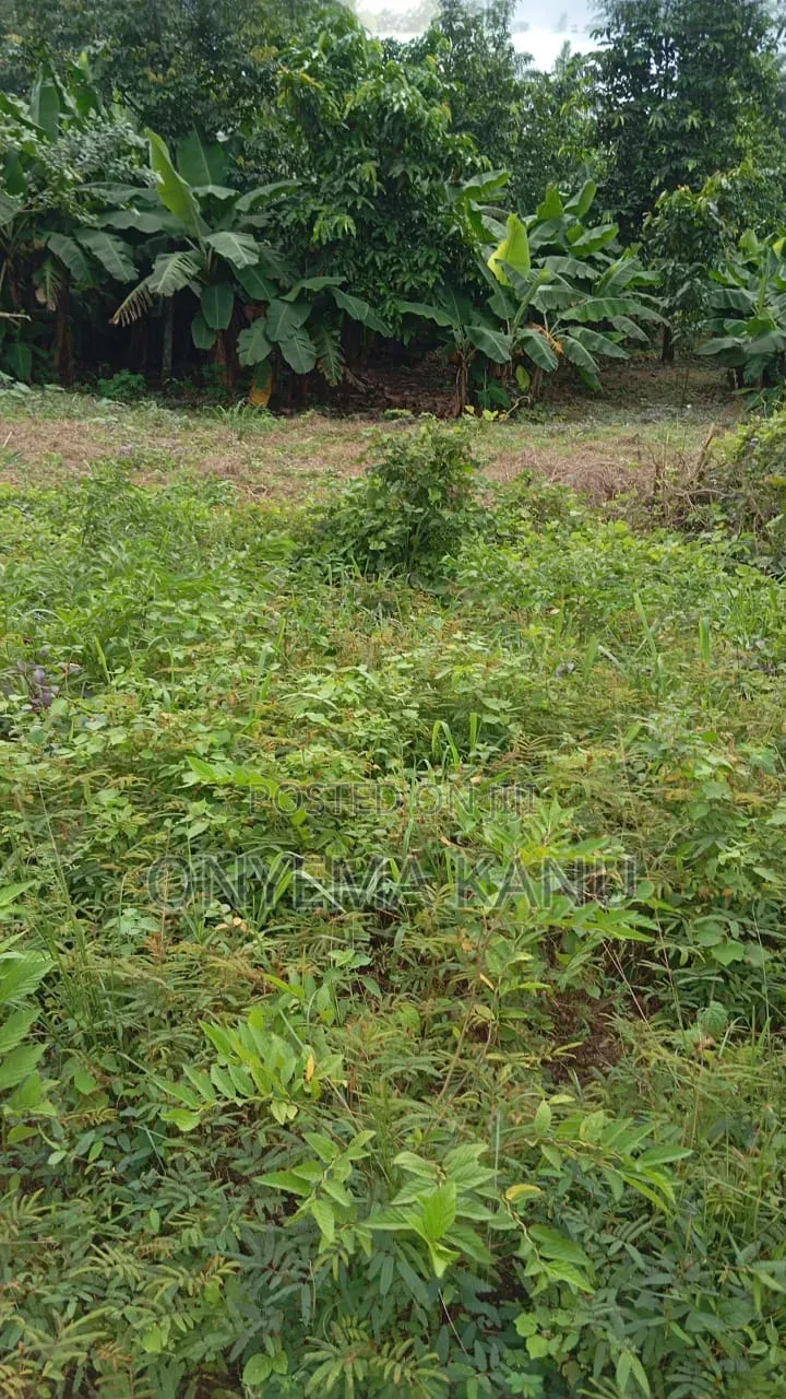 4 Plots Facing Aba-Portharcourt Highway in Ukwa