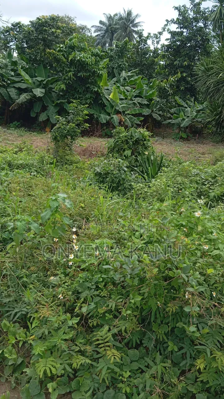 4 Plots Facing Aba-Portharcourt Highway in Ukwa