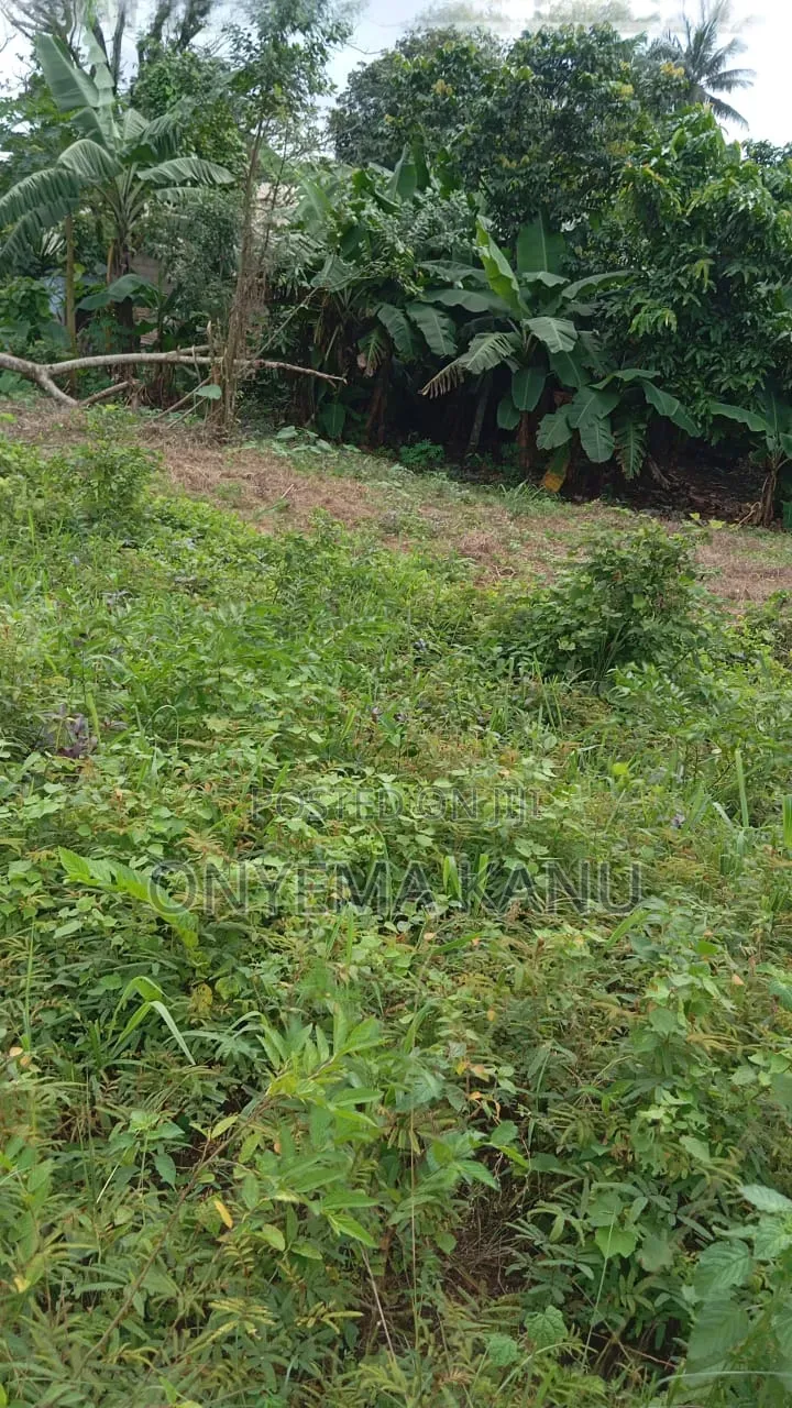 4 Plots Facing Aba-Portharcourt Highway in Ukwa