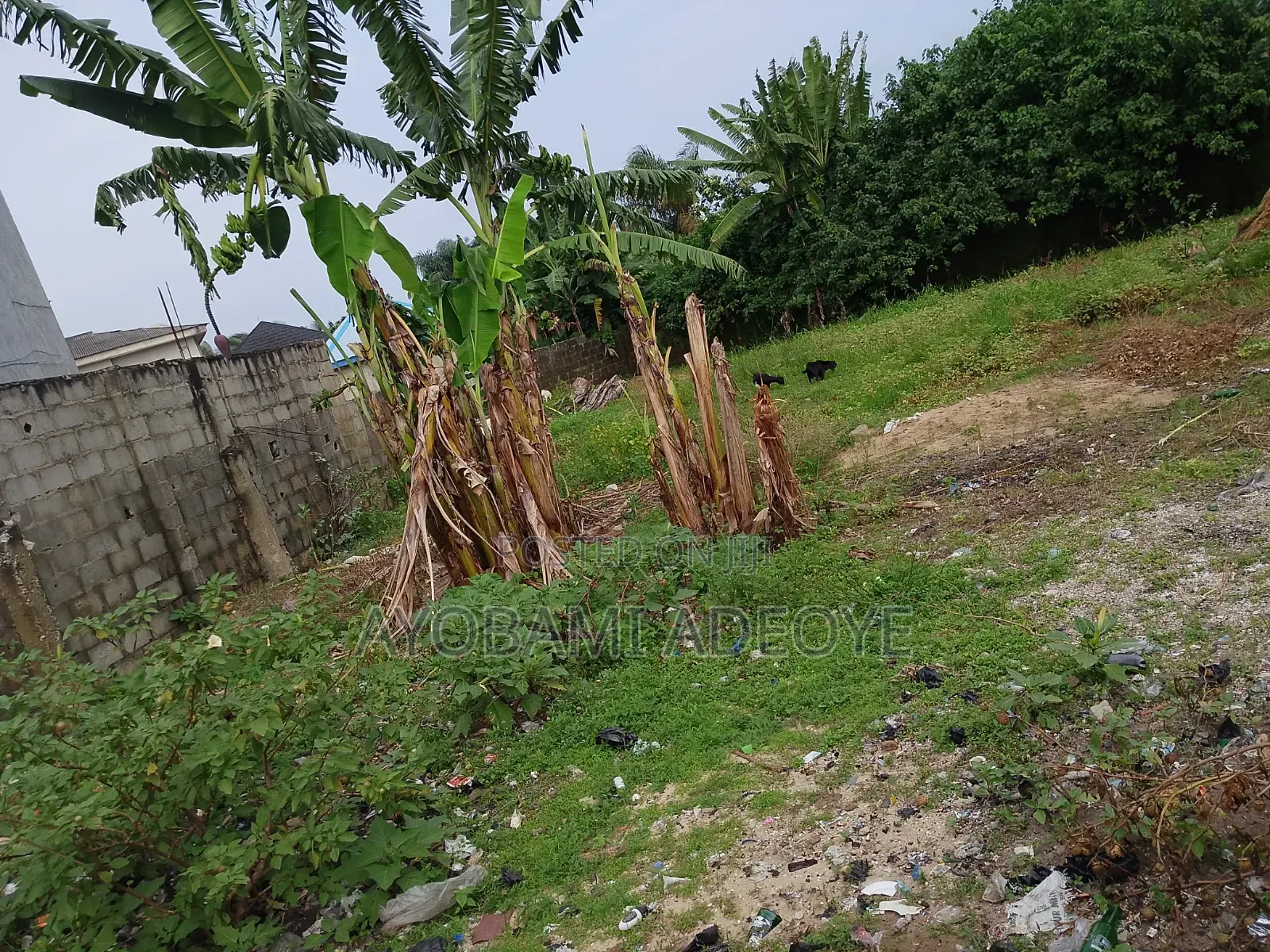 Over a Plot of Land for Sale AT Lakowe Adeba in Lakowe