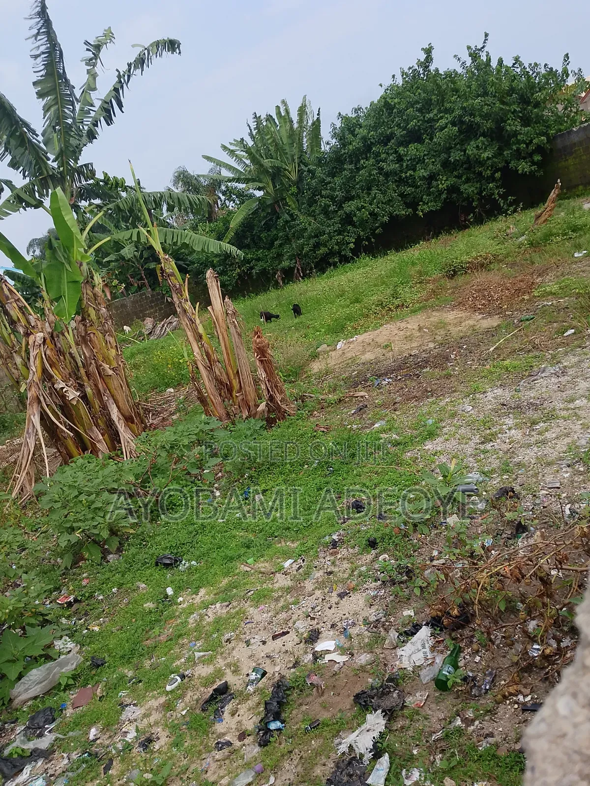Over a Plot of Land for Sale AT Lakowe Adeba in Lakowe