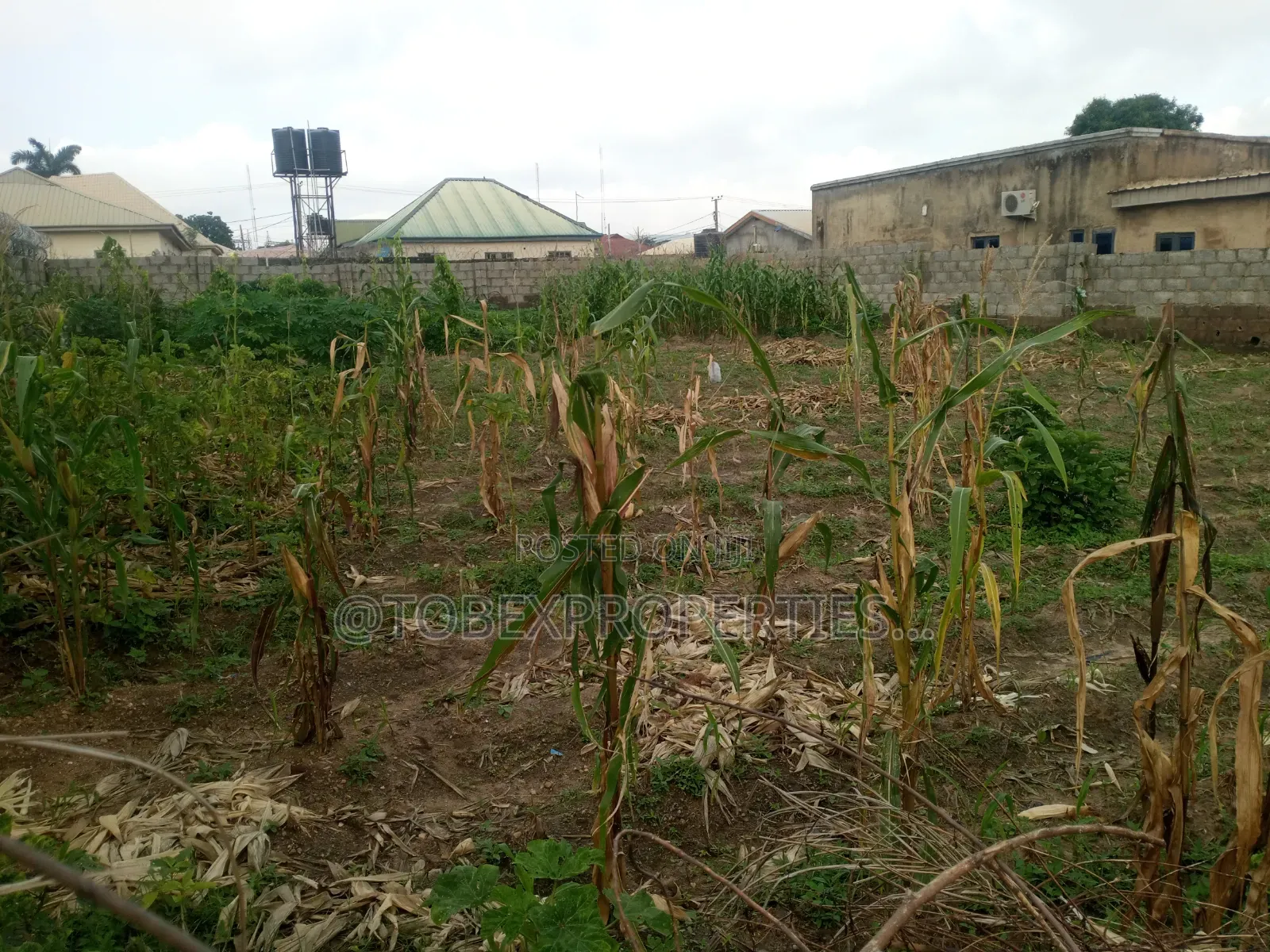 Land for Sale in Karu