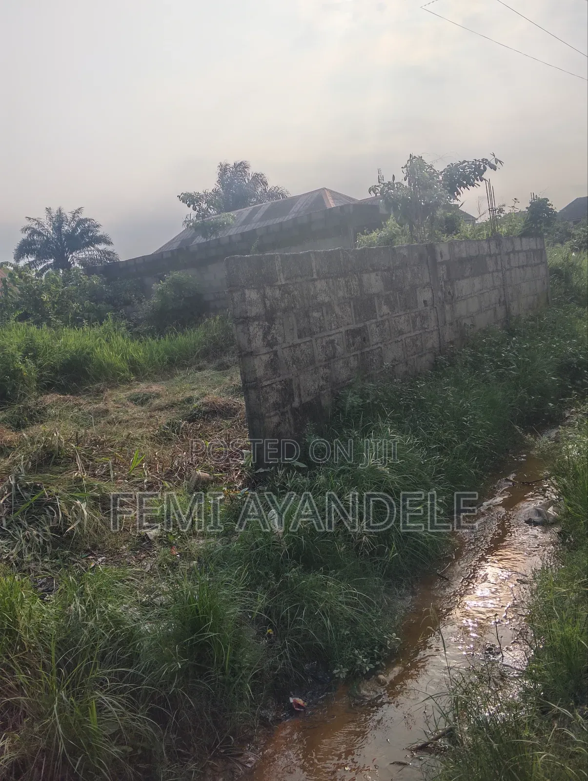 Complete Full Plot in Igbogbo