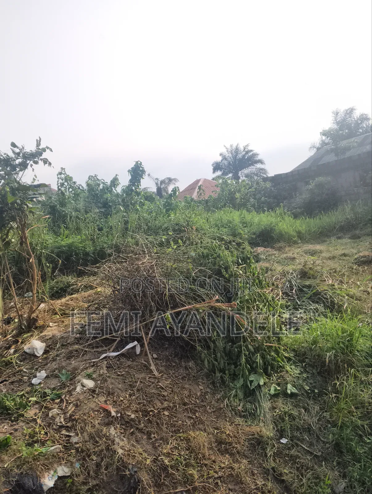 Complete Full Plot in Igbogbo