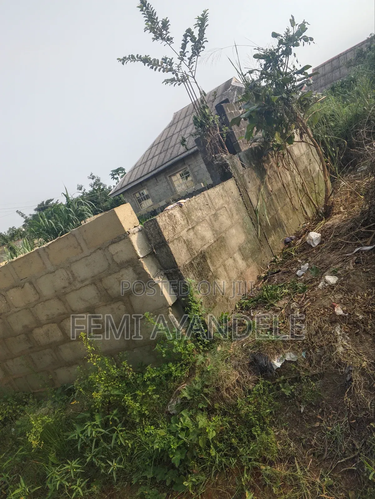 Complete Full Plot in Igbogbo