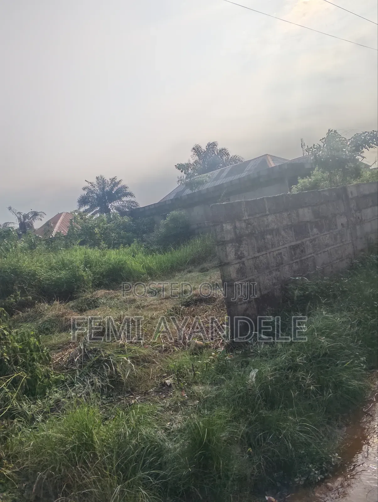 Complete Full Plot in Igbogbo