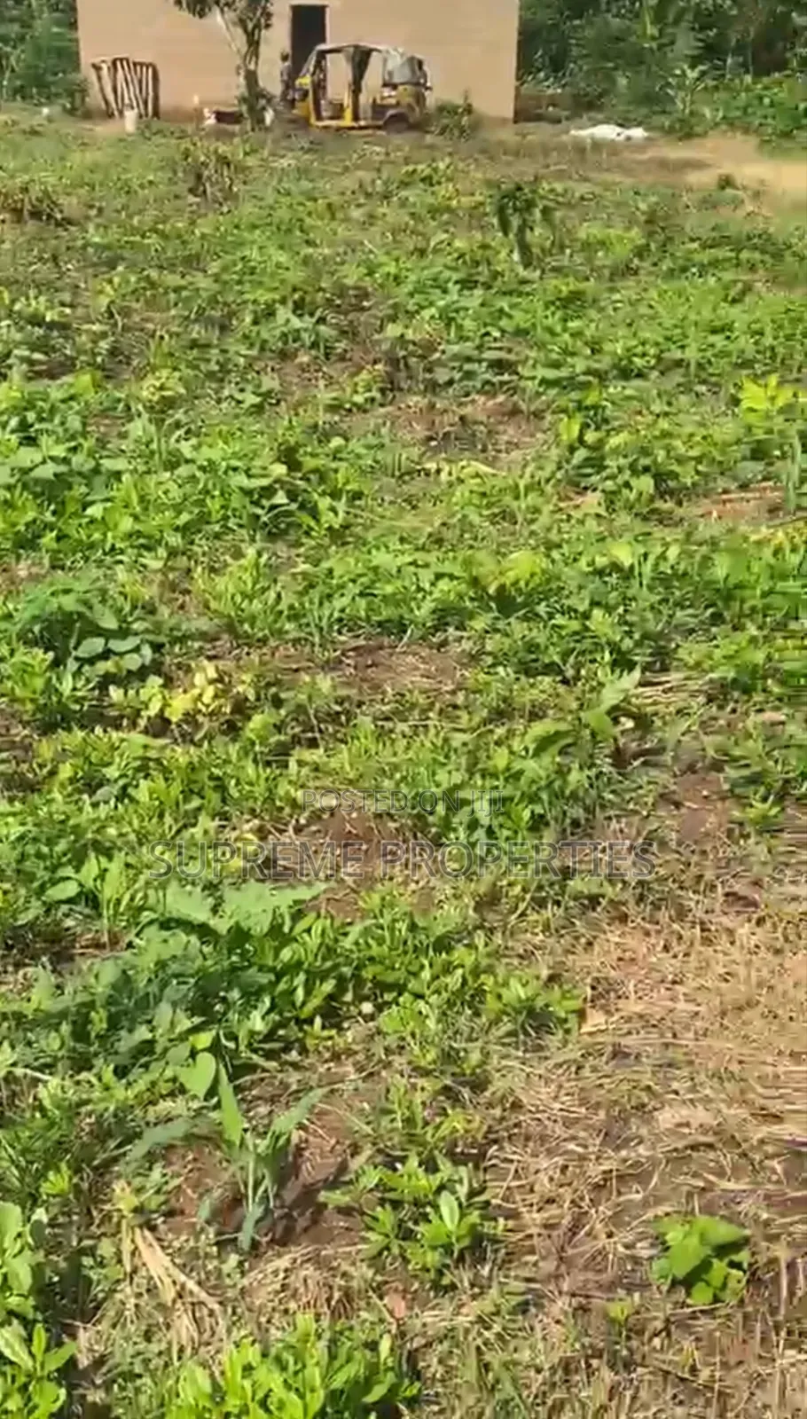 Cheap Plot of Land at Eni Osa Olorunda After Akobo Oju Irin in Ibadan