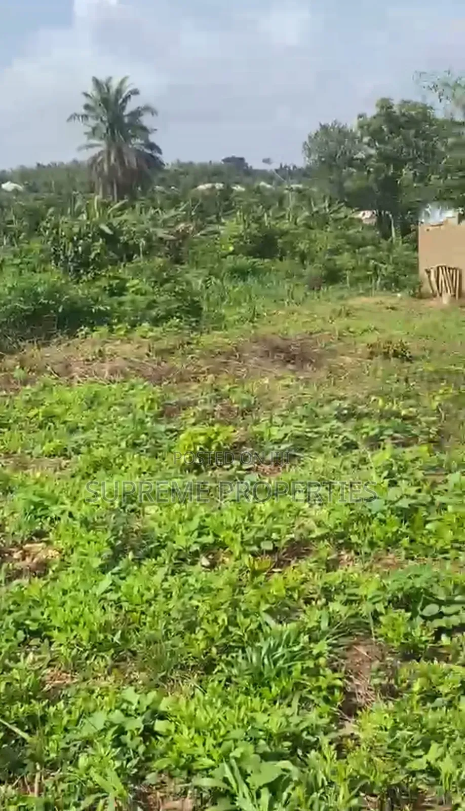 Cheap Plot of Land at Eni Osa Olorunda After Akobo Oju Irin in Ibadan