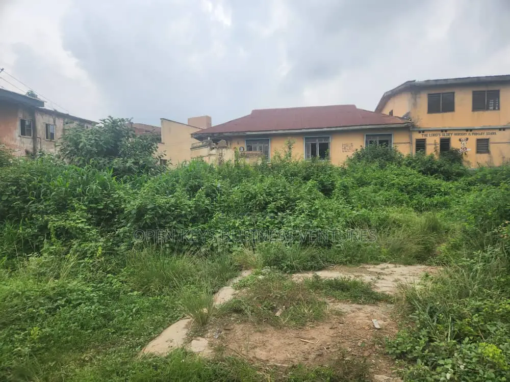 A Plot of Land in a Developed Area in Adamasingba