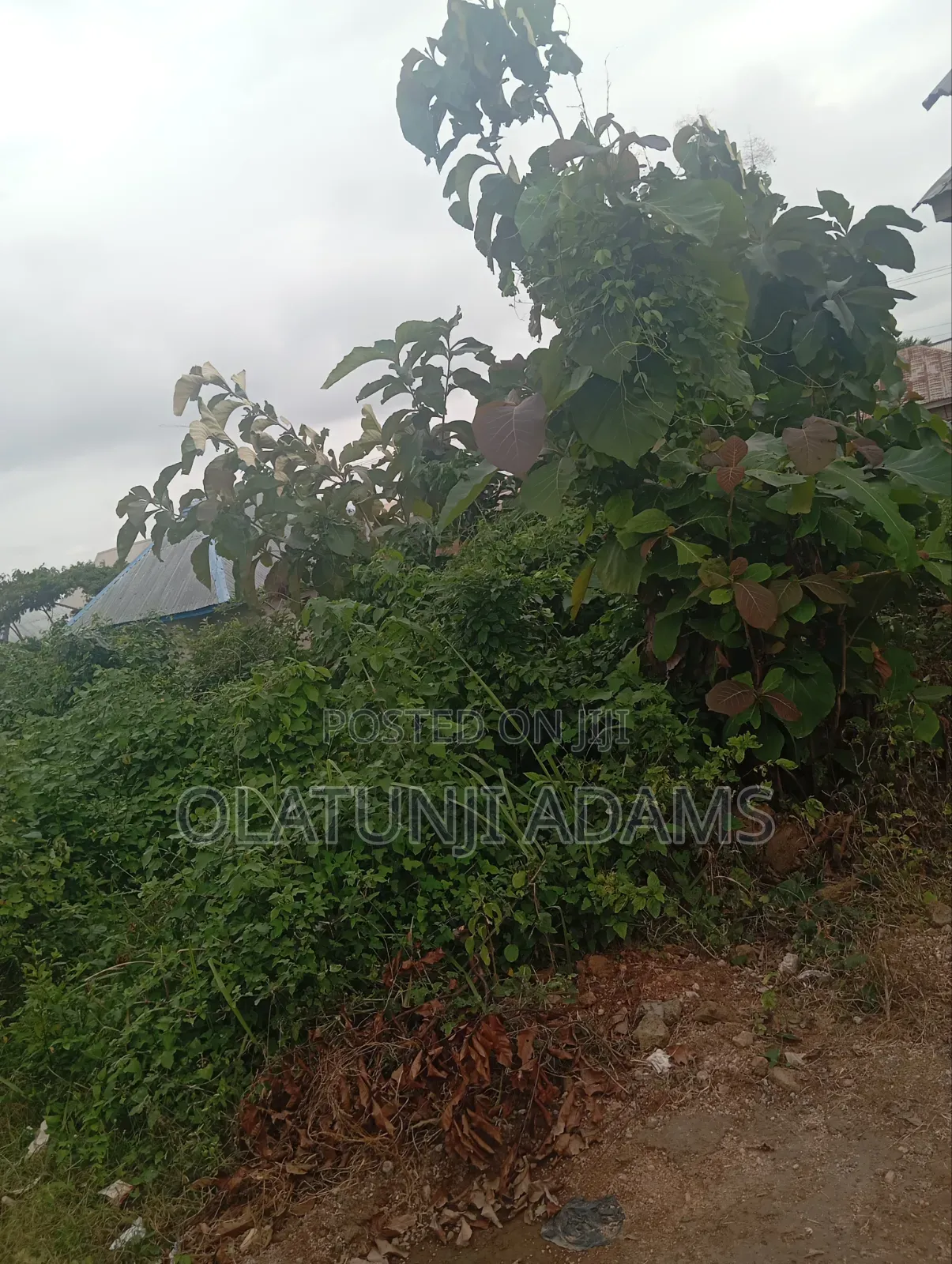Half Plot of Land at Kunike Int'l School in Osogbo