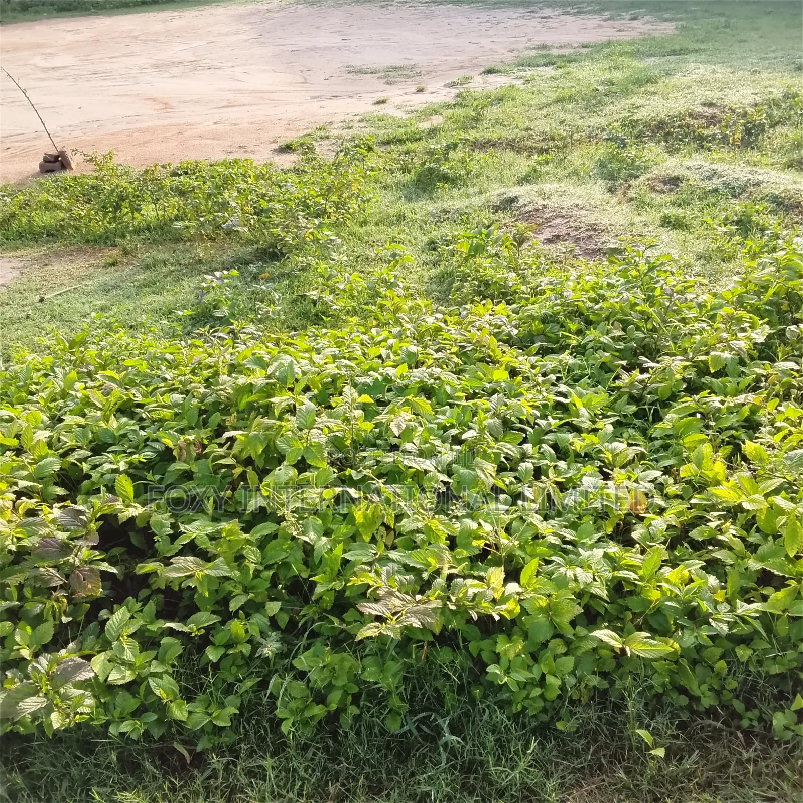 2679 SQM for Sale at Lugbe in FHA