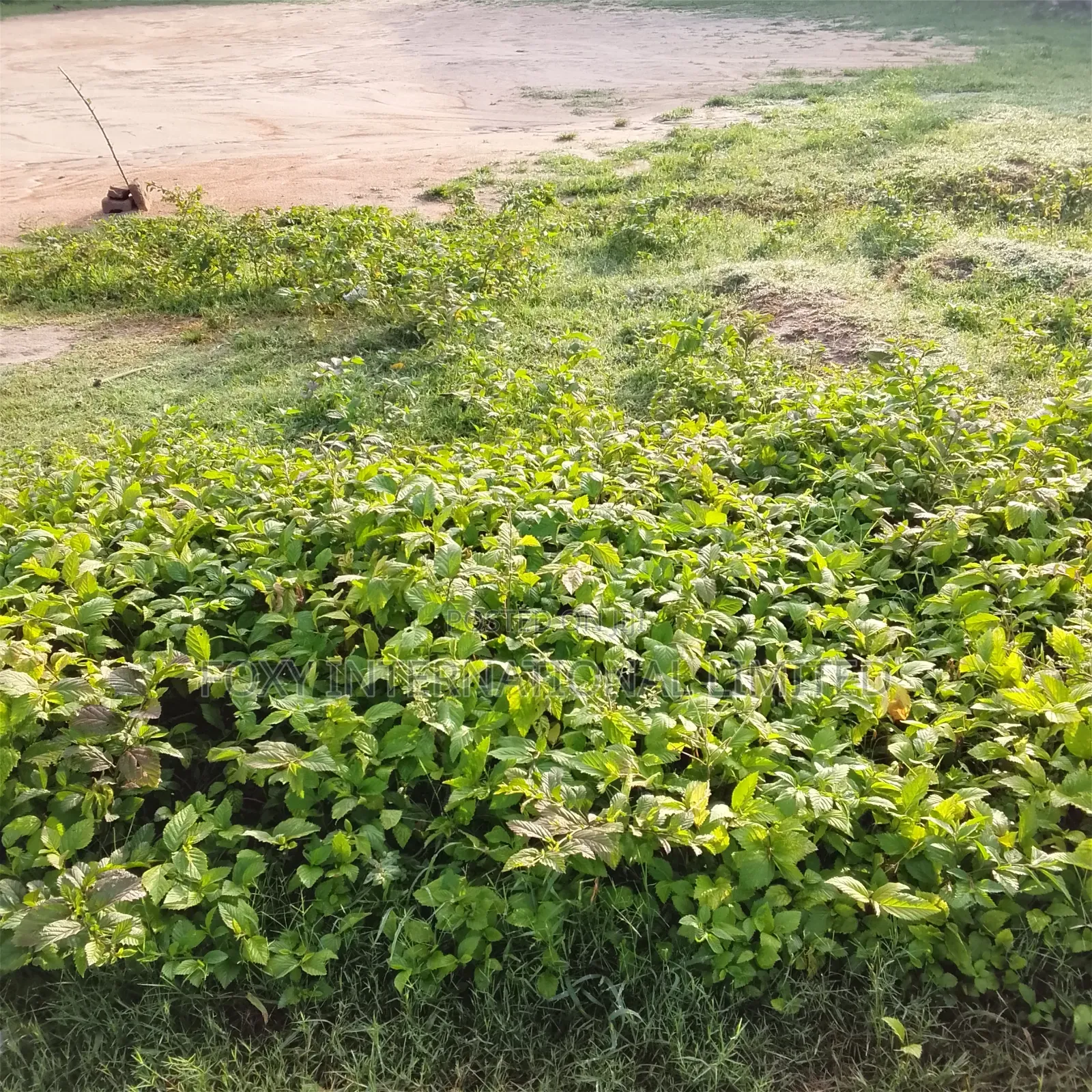 2679 SQM for Sale at Lugbe in FHA