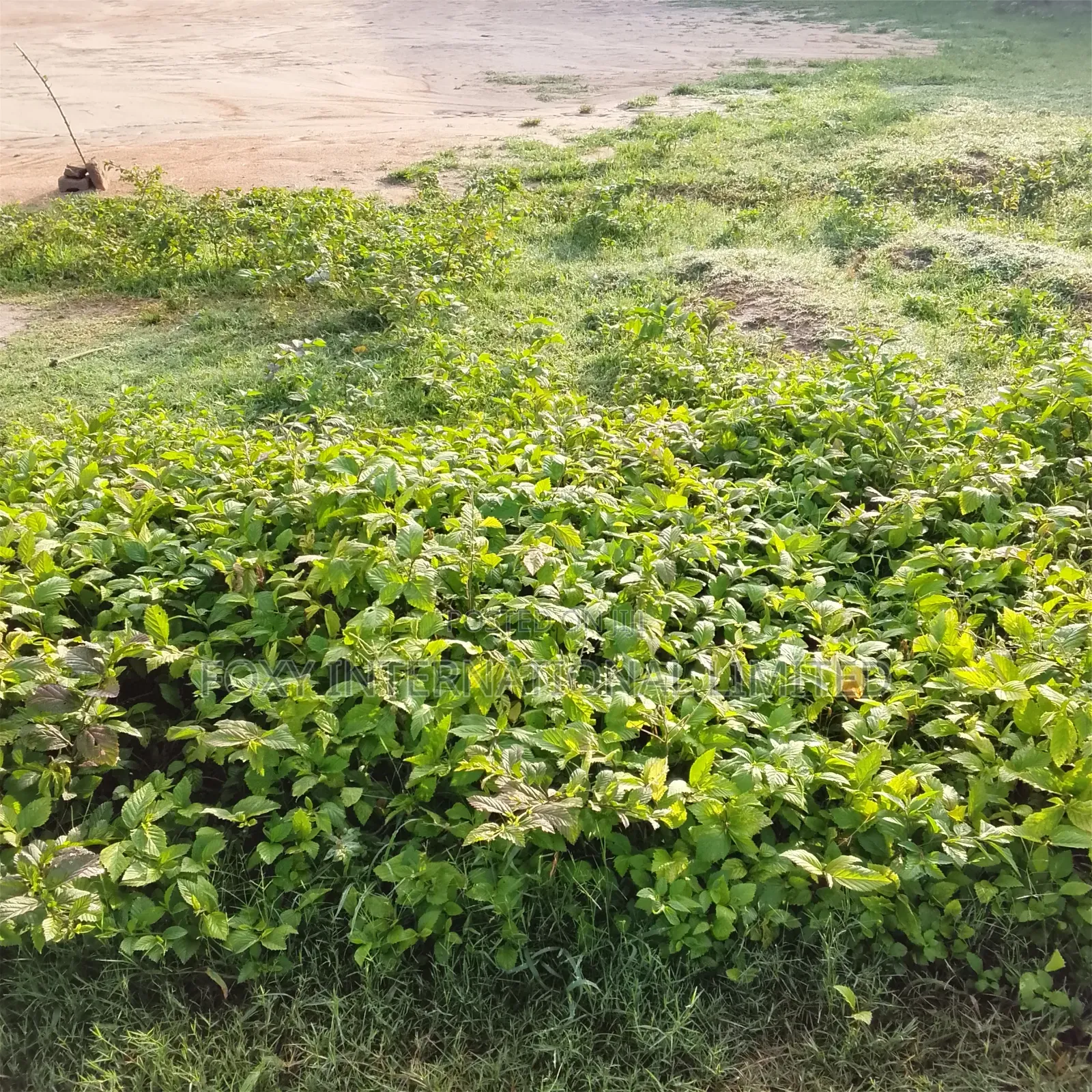 2679 SQM for Sale at Lugbe in FHA