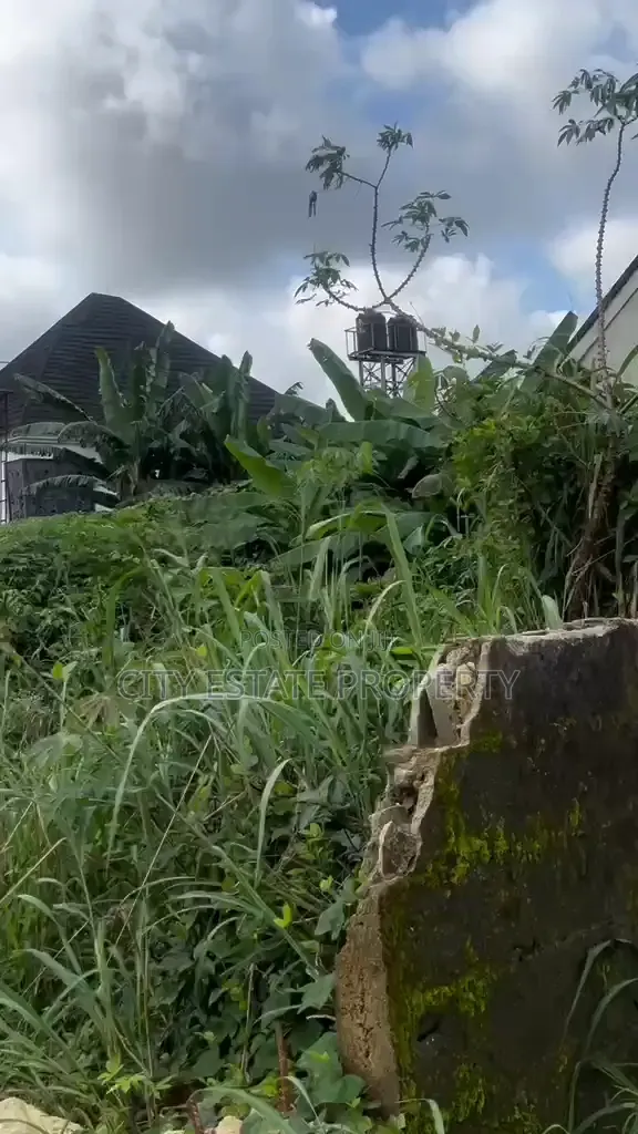 One Plot of Land for Sake at SARS Road Ph in Rukpokwu